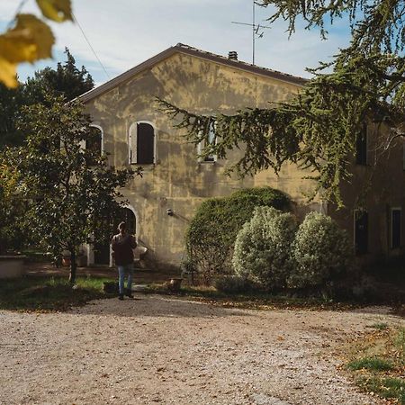 Casa Monteluro - B&B Tavullia Zewnętrze zdjęcie