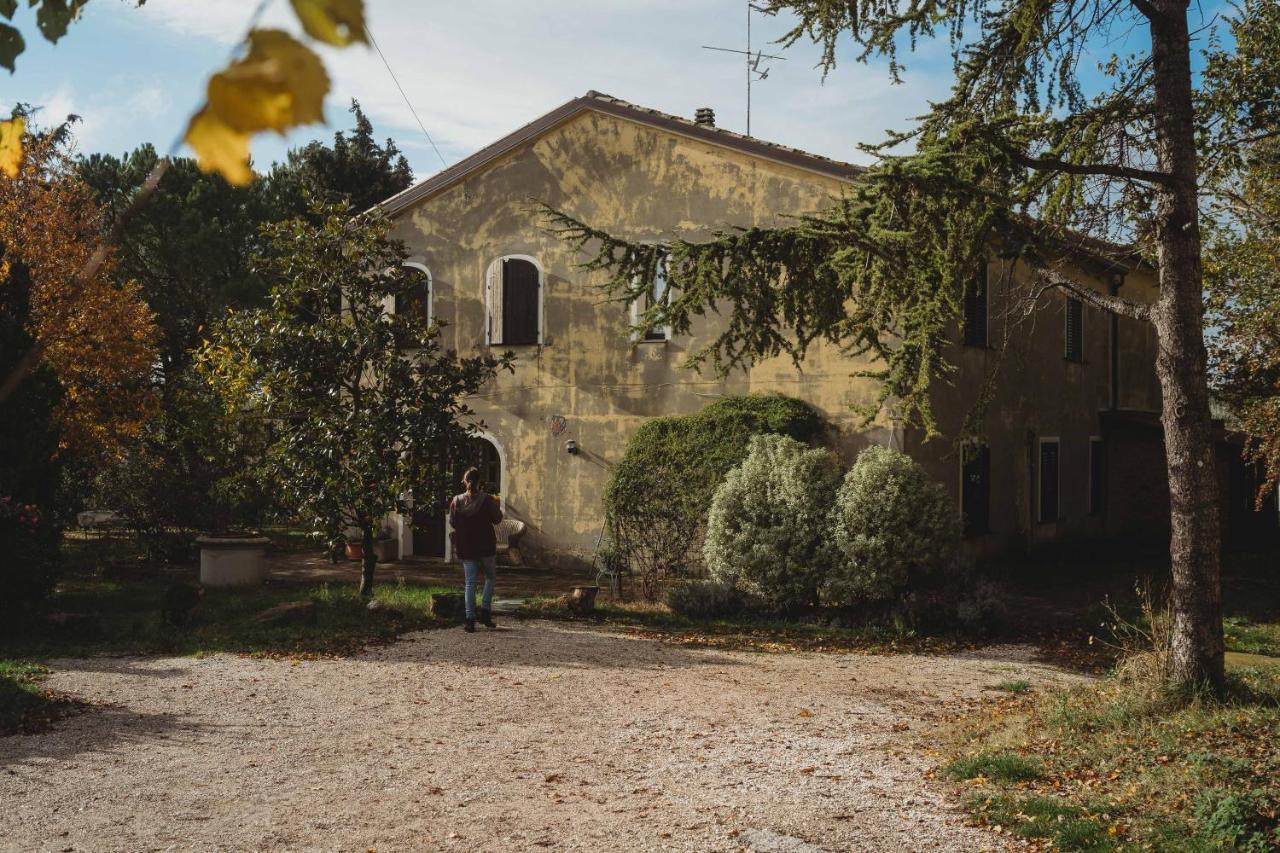 Casa Monteluro - B&B Tavullia Zewnętrze zdjęcie