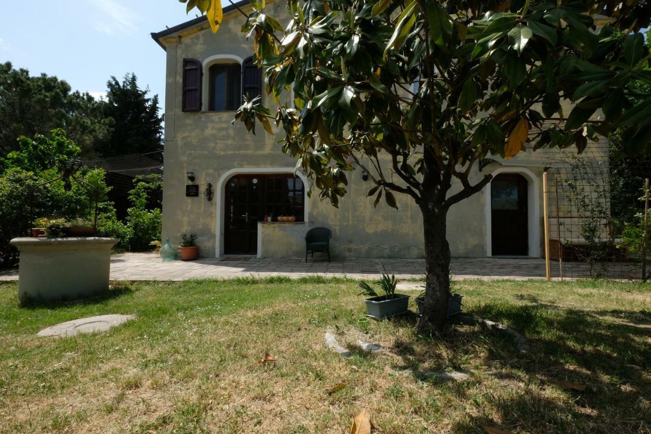 Casa Monteluro - B&B Tavullia Zewnętrze zdjęcie